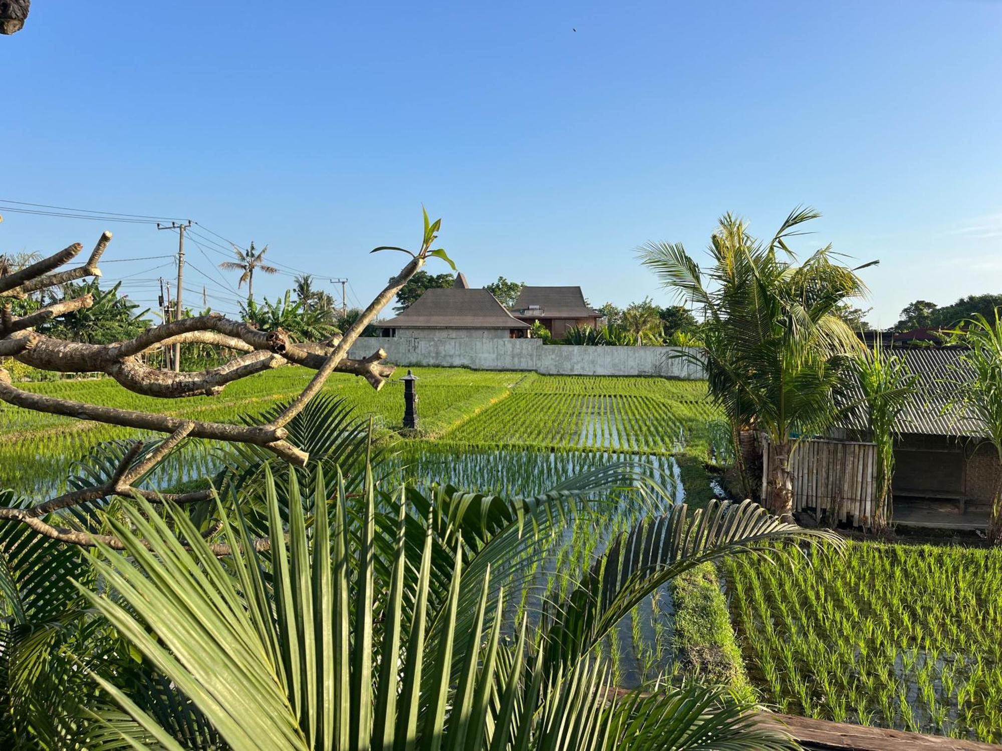 Unit Space Village Canggu Extérieur photo